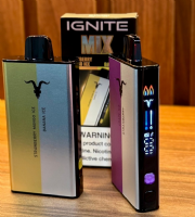 Ignite V400 -MIX 40.000 Puffs 2Sabor